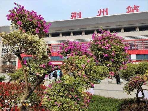 邢臺到荊州物流運費