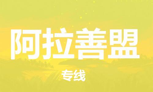 邯鄲到阿拉善盟物流專線-貨運直達(dá)-直送各區(qū)域-專業(yè)物流管理服務(wù)